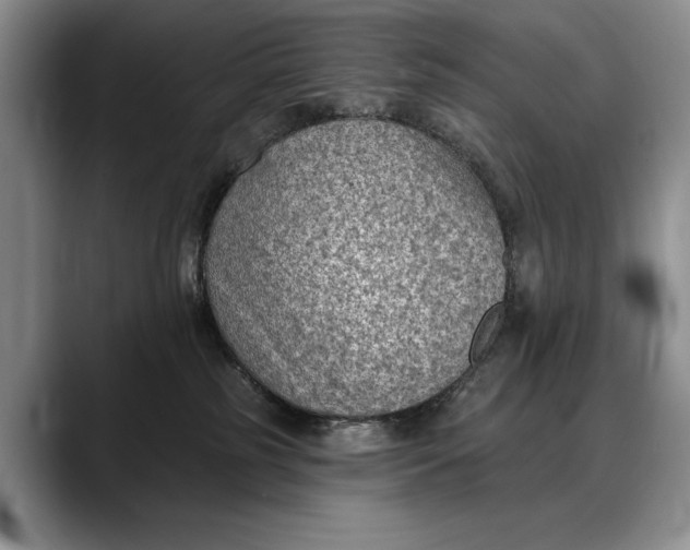 X0000088220185200705292121