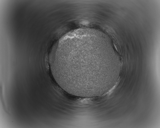 X0000088220186200705292121