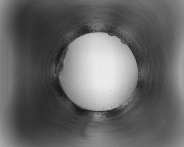 X0000088220187200705292121