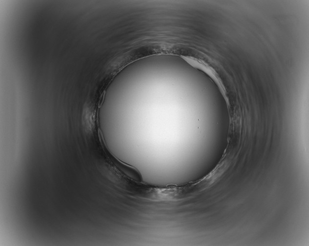 X0000088220188200705292121