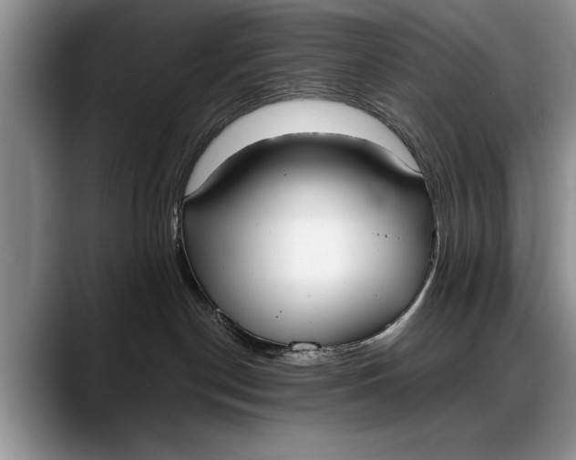 X0000088220190200705292121