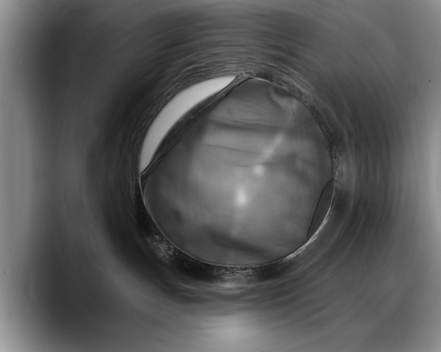 X0000088220191200705292121