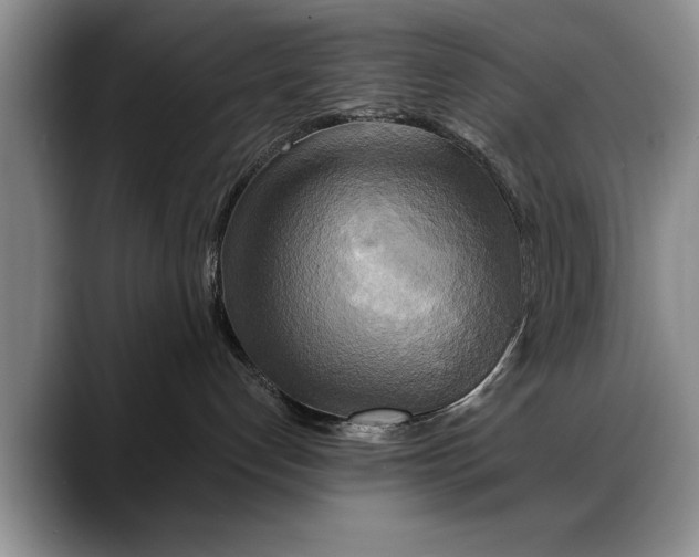 X0000088220192200705292121