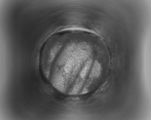 X0000088220194200705292121