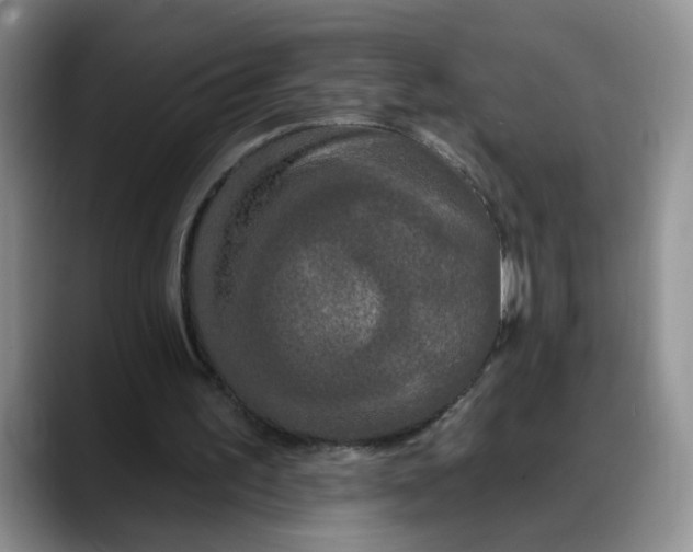 X0000088220195200705292120