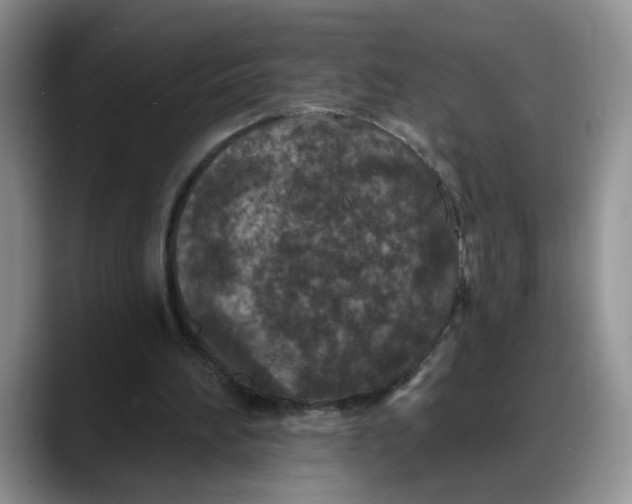 X0000088220196200705292120