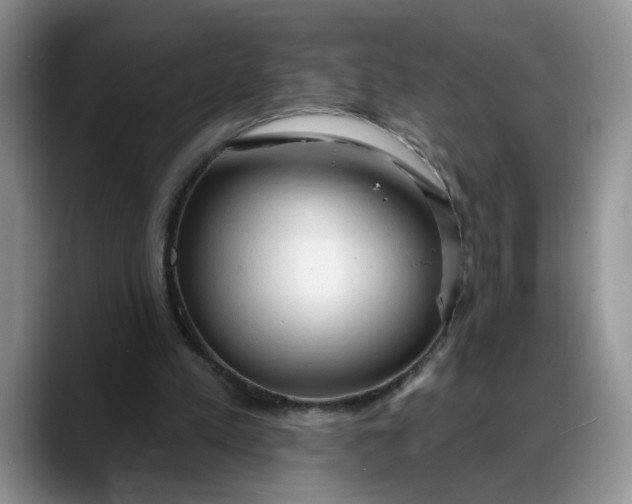 X0000088220197200705292120