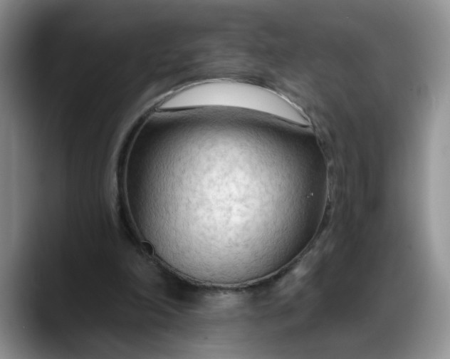 X0000088220198200705292120