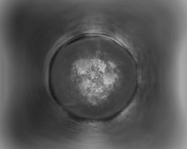 X0000088220199200705292120