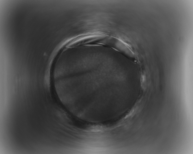 X0000088220200200705292120