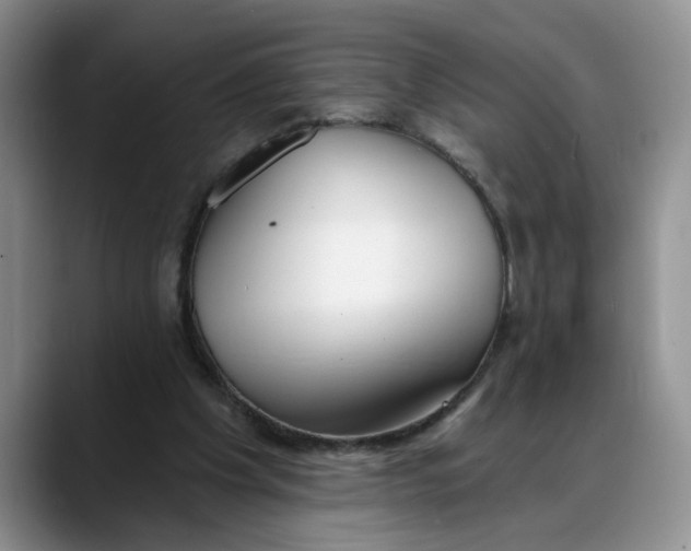 X0000088220201200705292120