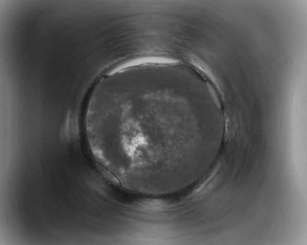 X0000088220203200705292120