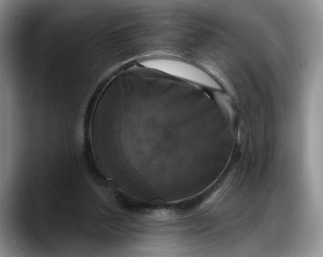 X0000088220204200705292120