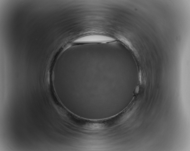 X0000088220205200705292120