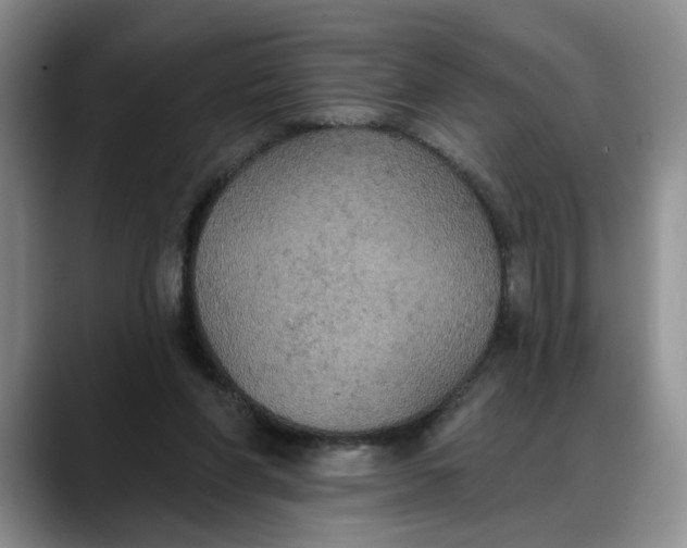 X0000088220206200705292120