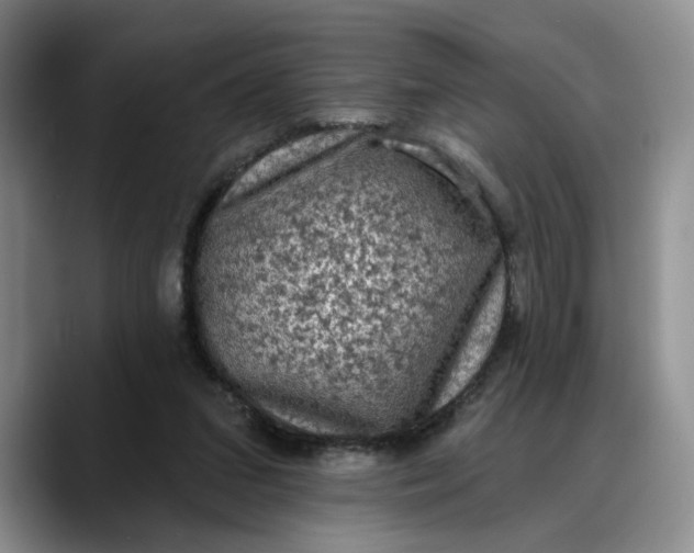 X0000088220207200705292120