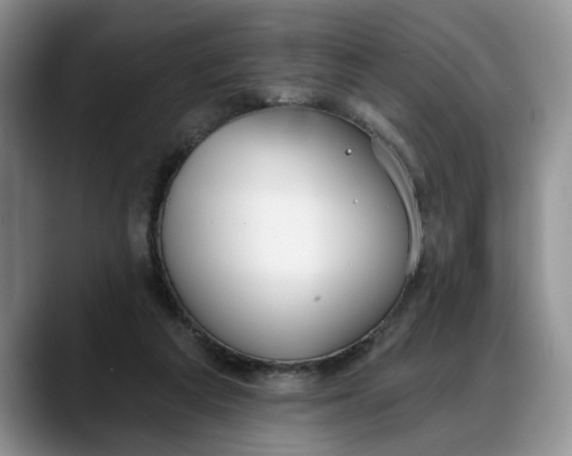 X0000088220209200705292120