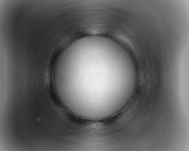 X0000088220210200705292120