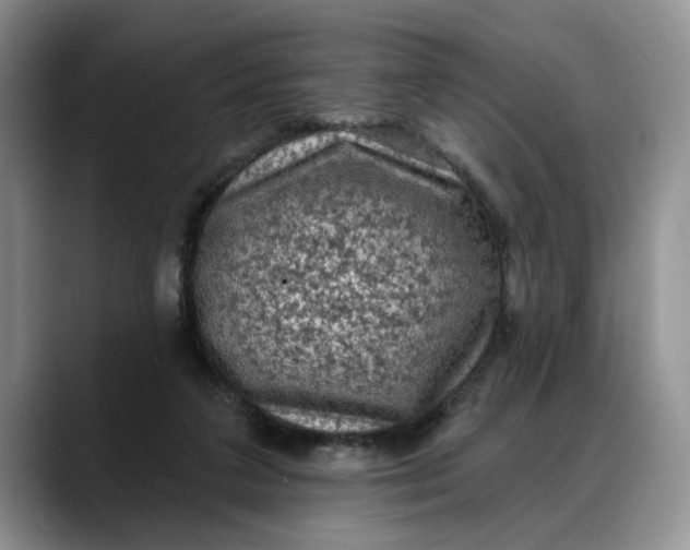 X0000088220211200705292120