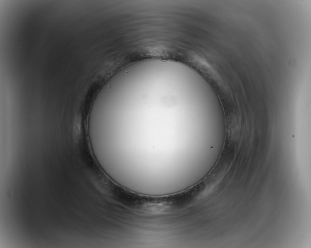 X0000088220213200705292120