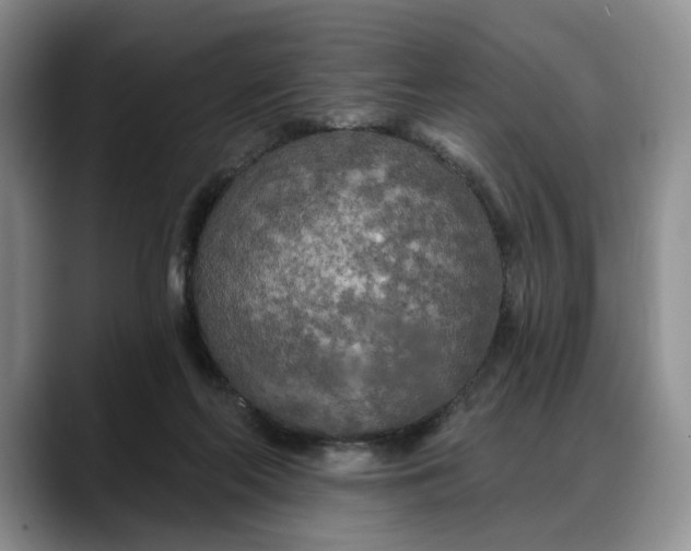 X0000088220214200705292120