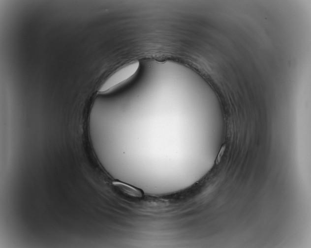 X0000088220215200705292120