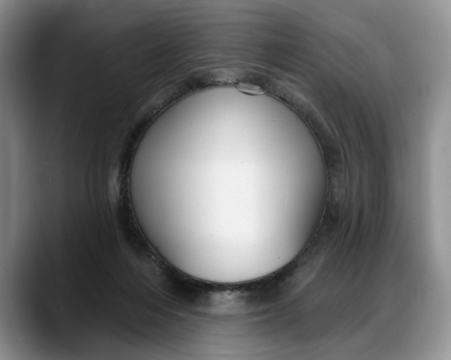 X0000088220216200705292120