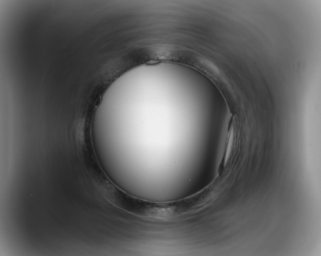 X0000088220217200705292120