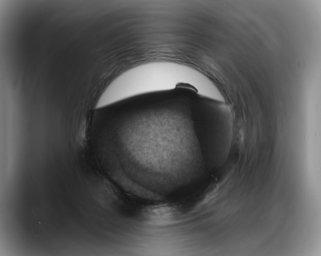 X0000088220219200705292120