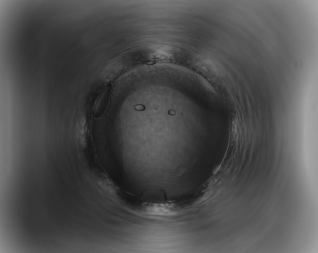 X0000088220223200705292120