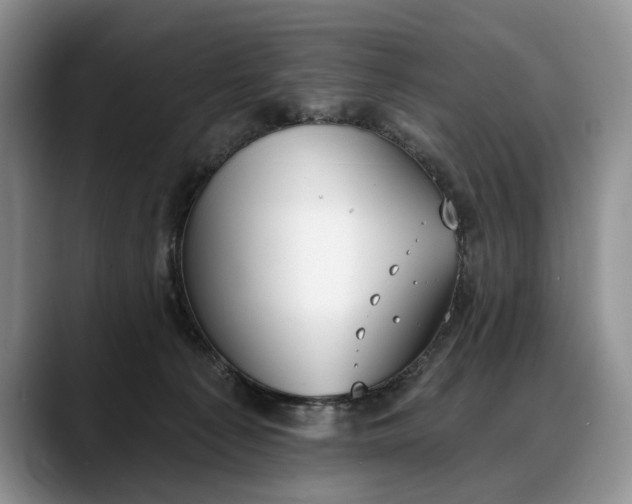 X0000088220225200705292120