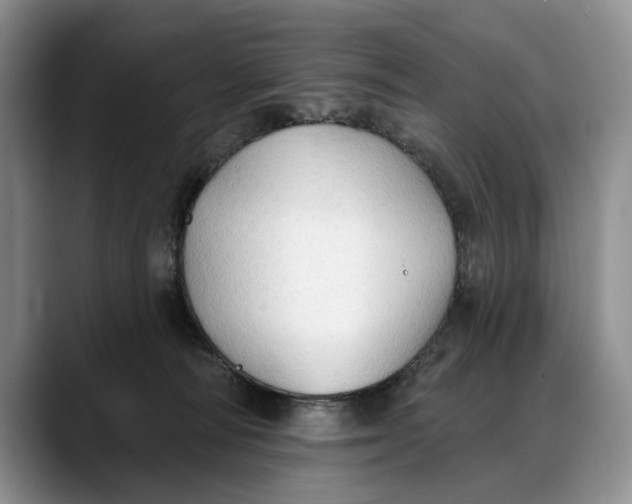 X0000088220226200705292120