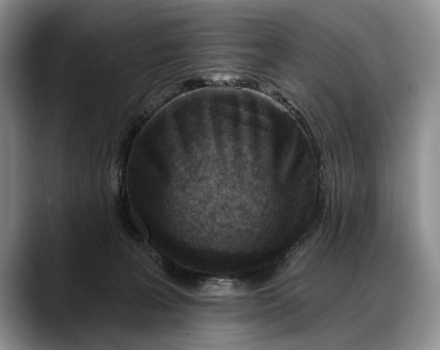 X0000088220227200705292120