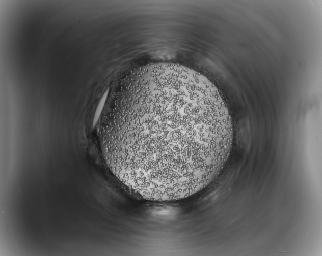 X0000088220229200705292120