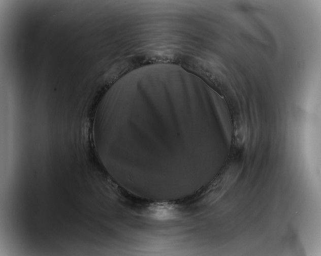 X0000088220231200705292120