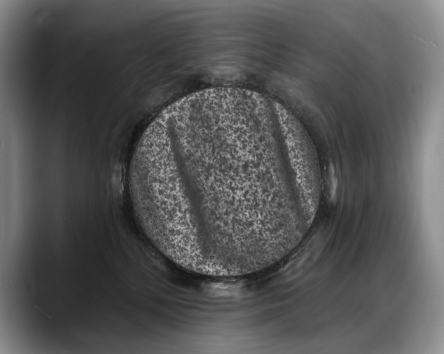 X0000088220232200705292120