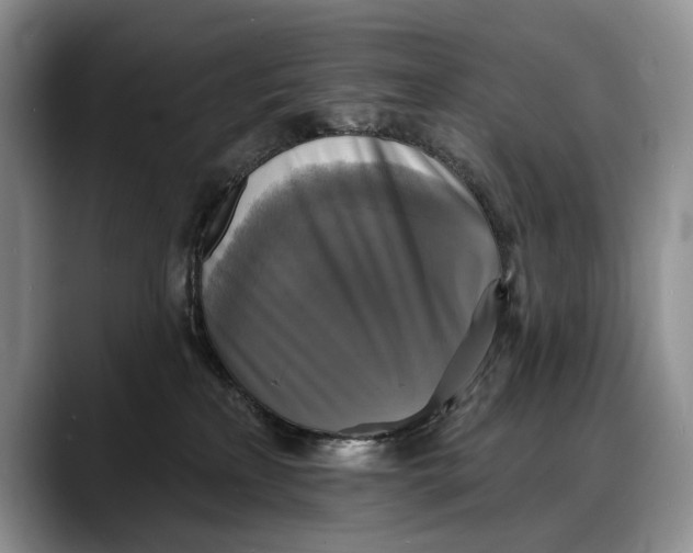 X0000088220233200705292120