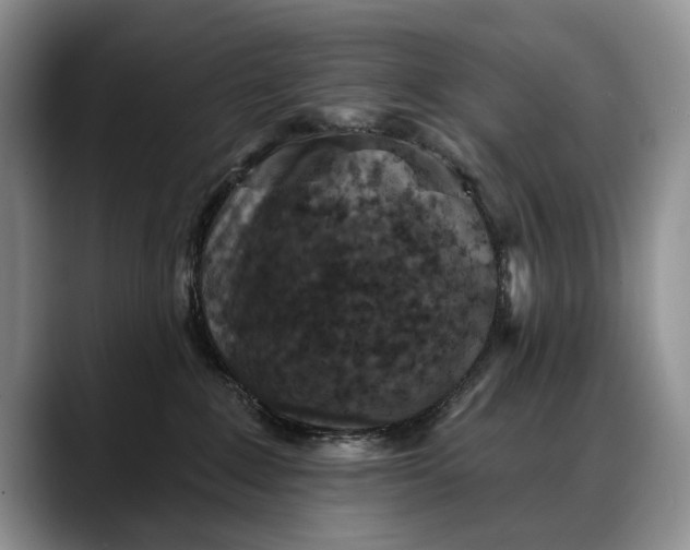 X0000088220235200705292120