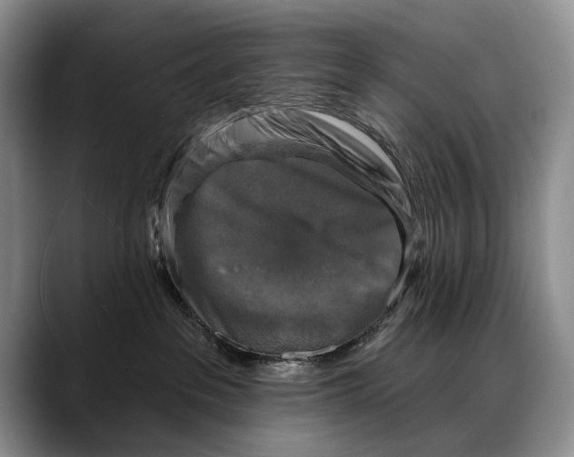 X0000088220237200705292120