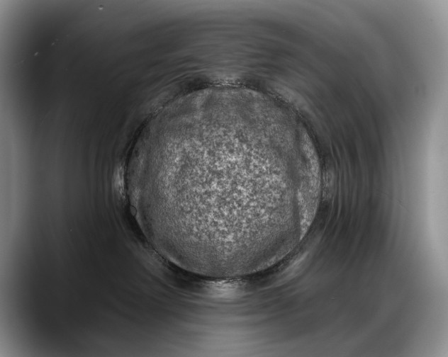 X0000088220238200705292120