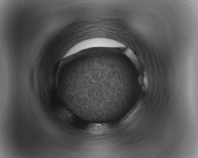 X0000088220239200705292120