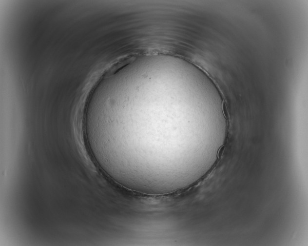 X0000088220241200705292119