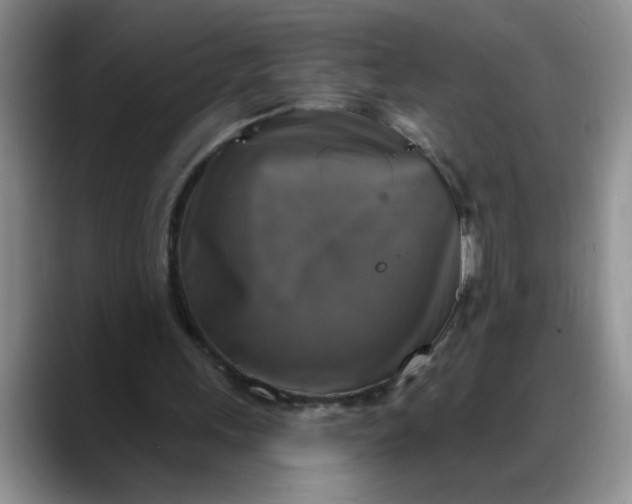 X0000088220243200705292119