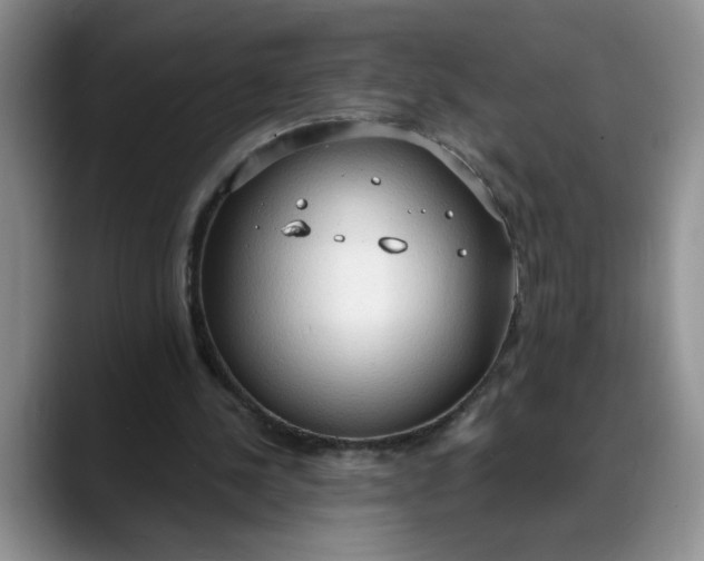 X0000088220244200705292119