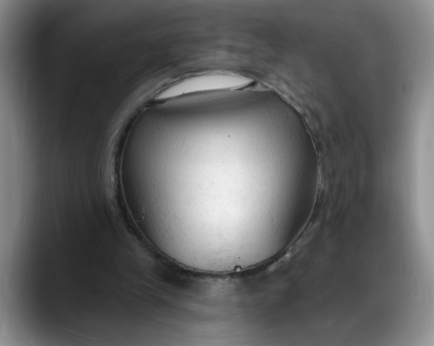 X0000088220245200705292119