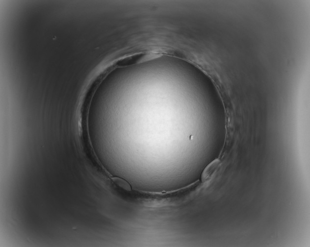 X0000088220246200705292119