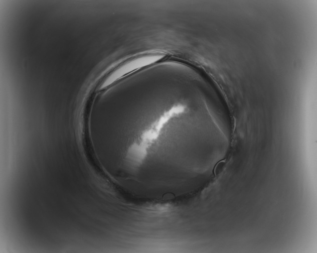 X0000088220247200705292119