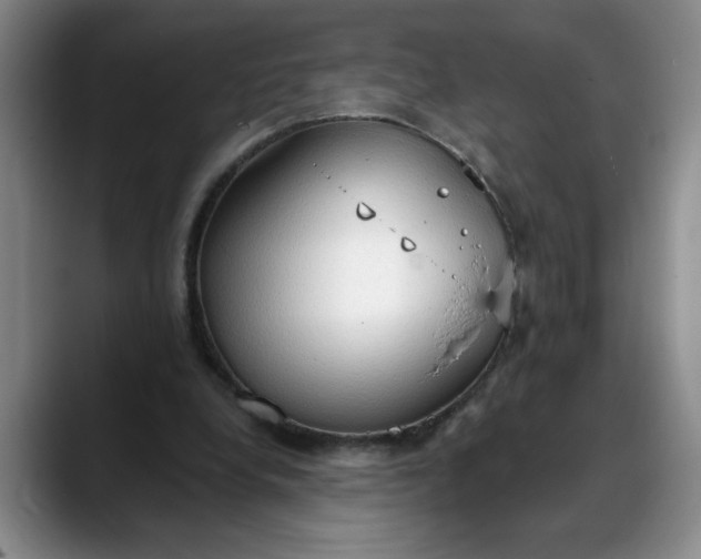 X0000088220248200705292119