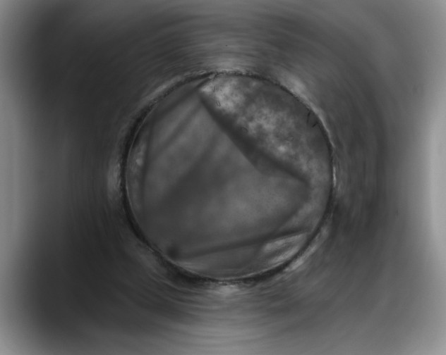 X0000088220249200705292119