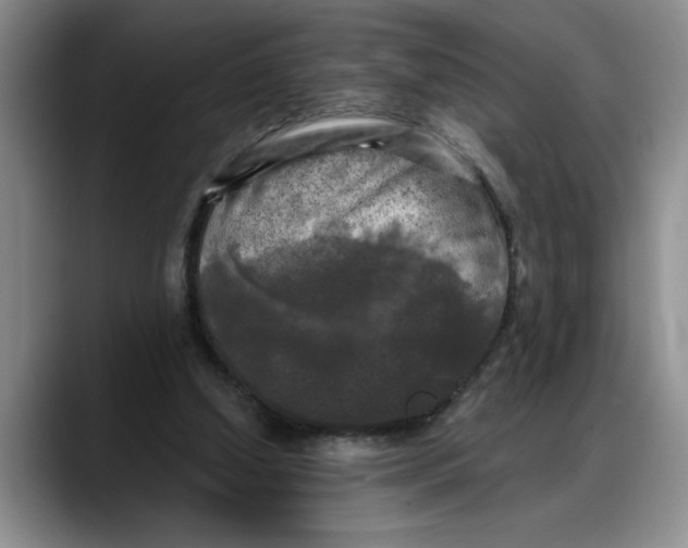 X0000088220250200705292119